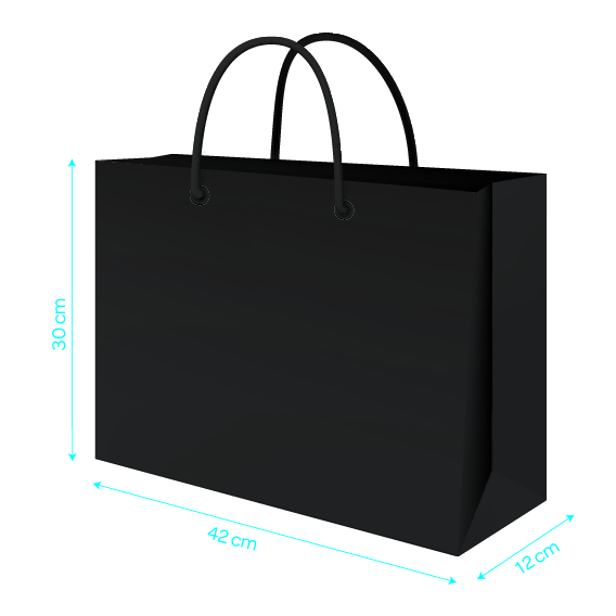 BLACK LUXURY CARRIER 42X12X30CM X 100